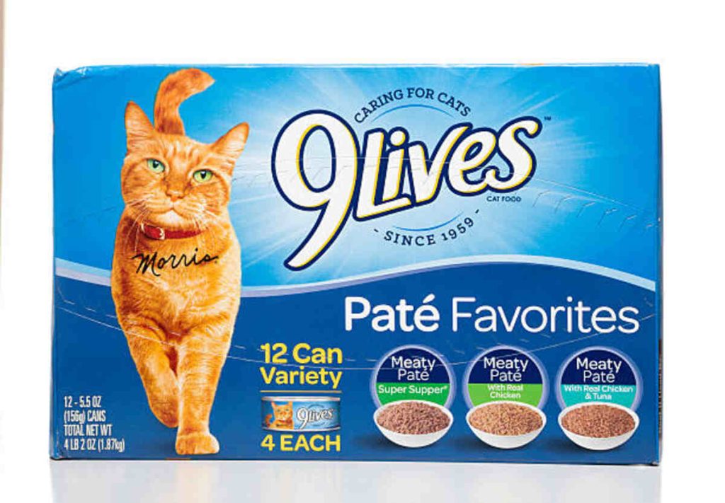 Gentle Giants Cat Food Review