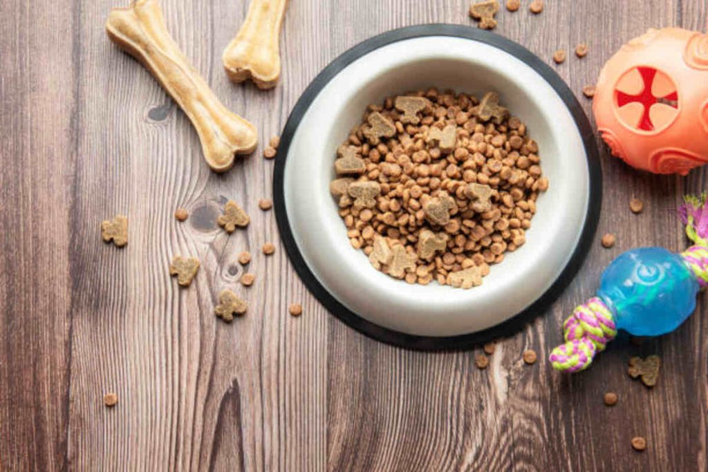 Fresh Pet Puppy Food Review