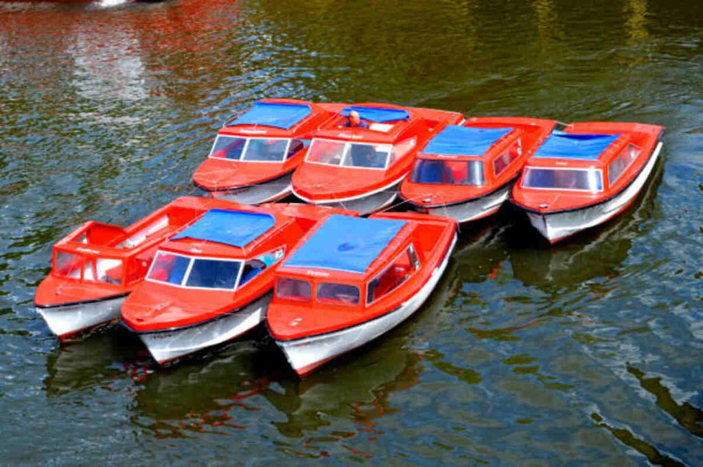 Paddle Board Rental Near Me in New York