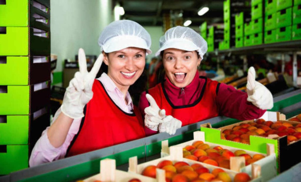 Fun Food Factory Tours