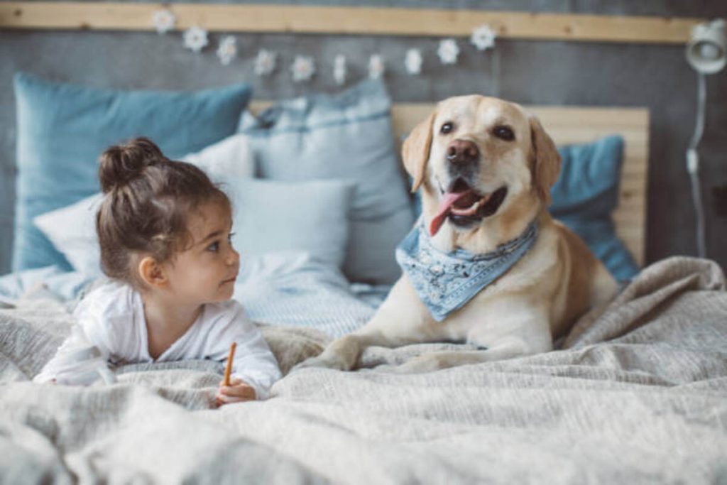 Pajamas With Pets Face