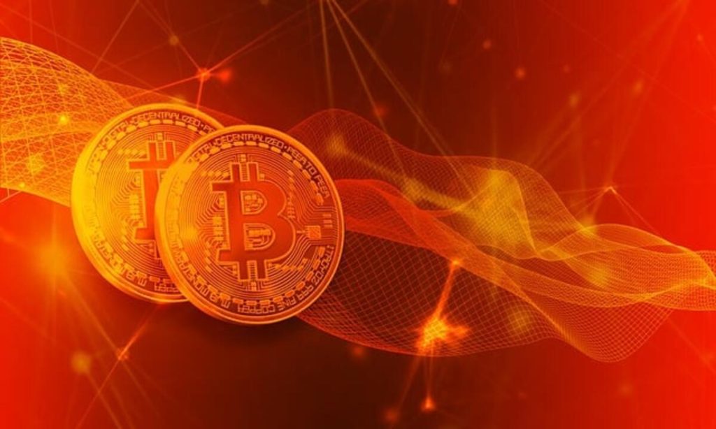 Recover Crypto from Scammer